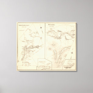 Impressão Em Tela Whitefield, Stark