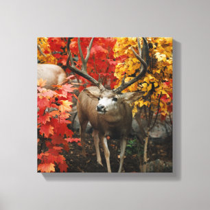 Impressão Em Tela Whitetail no outono