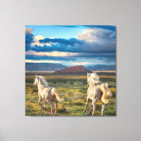 WILD HORSES "Live to Run"
