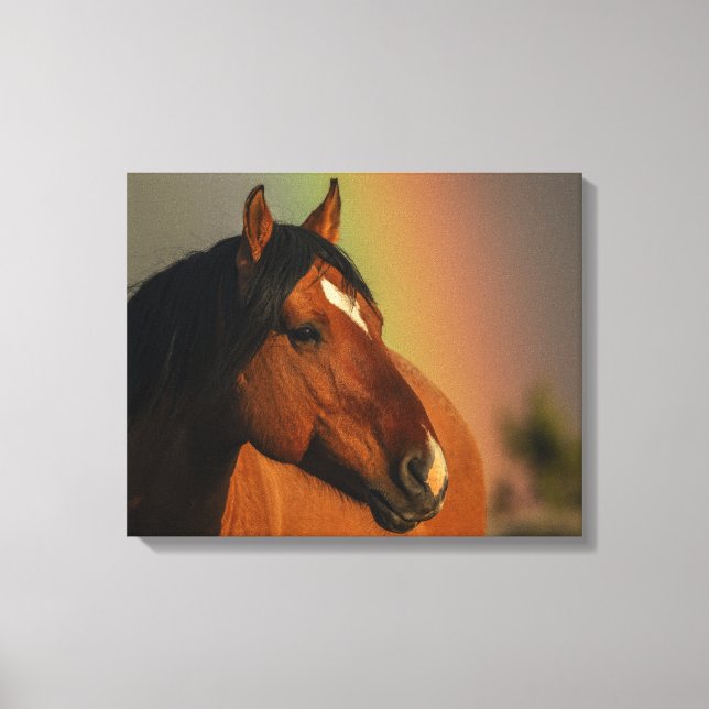 Impressão Em Tela Wild Stallion, Golden Light and Rainbow (Frente)