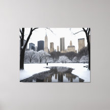 Winter's Embrace in Central Park
