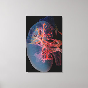 Impressão Em Tela Wireframe do interior de um rim