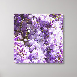 Impressão Em Tela Wisteria Purple Floral Flor Tree Violet