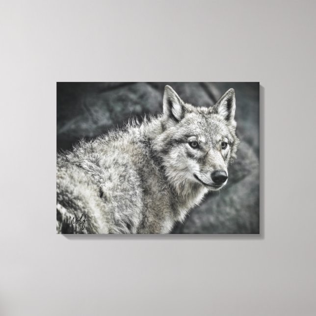 Impressão Em Tela WOLF：Canvas Print (Frente)