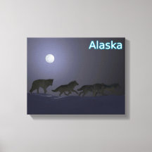 Wolf Pack - Alasca