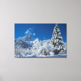 Impressão Em Tela Wonderland