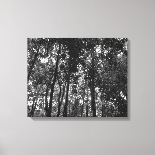 Impressão Em Tela Woodland Canopy 02 BW (Frente)