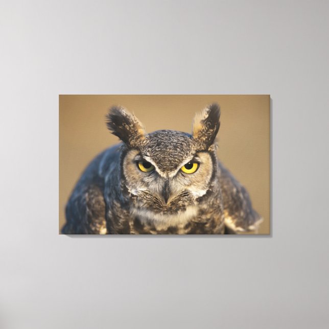 Impressão Em Tela wyoming, eua (Frente)