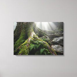 Impressão Em Tela Yakushima Moss Forest 'Breath of Life' | Biophilic