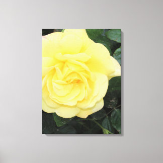 Impressão Em Tela Yello Rosa