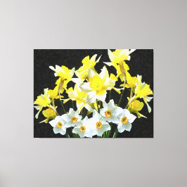 Impressão Em Tela Yellow Daffodils And White Narcissi On Grey