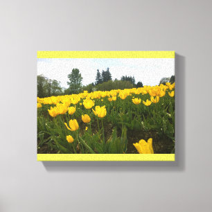Impressão Em Tela Yellow Tulip Field, Oregon