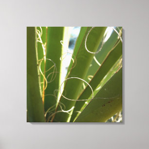 Impressão Em Tela Yucca deixa fotografia verde