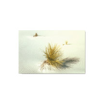 Yuccas em White Sands