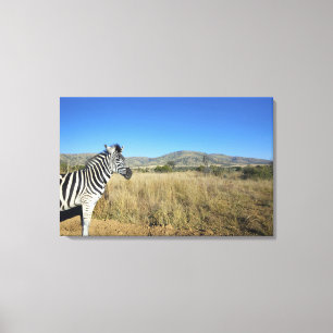 Impressão Em Tela Zebra na planície aberta, parque nacional de