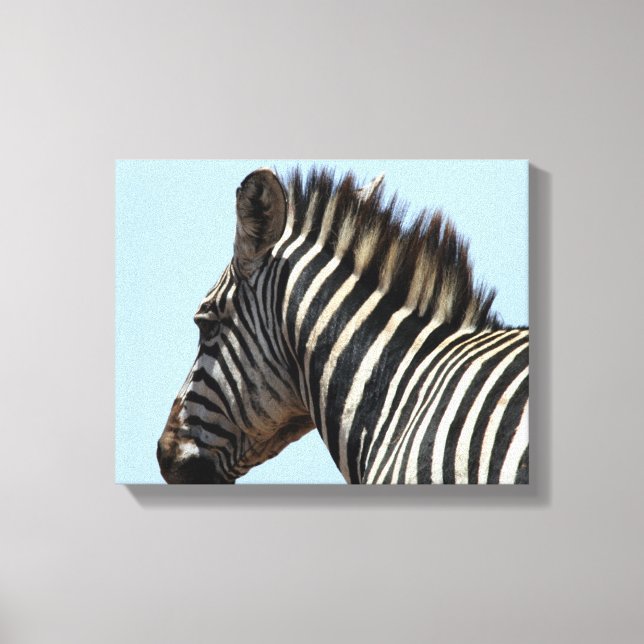 Impressão Em Tela zebra tela azul (Frente)