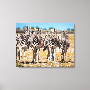Impressão Em Tela Zebras