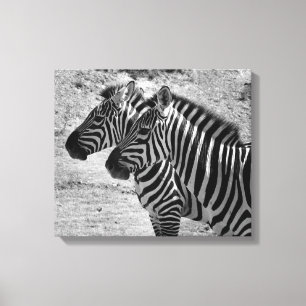 Impressão Em Tela Zebras