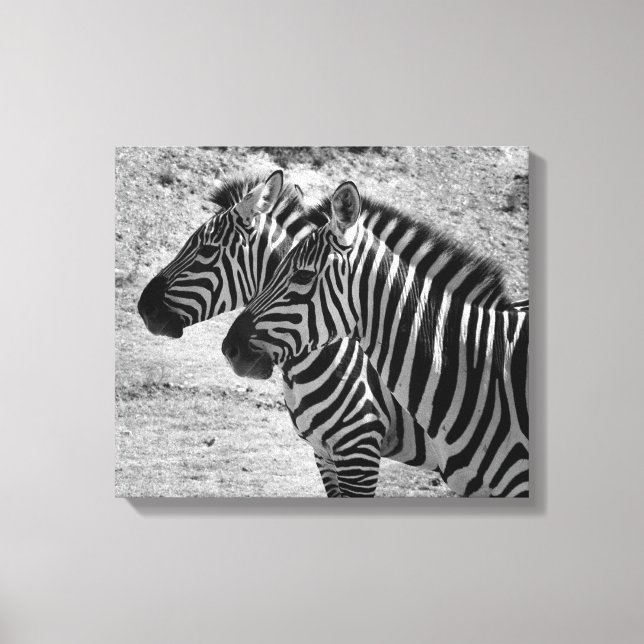 Impressão Em Tela Zebras (Frente)