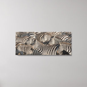 Impressão Em Tela Zebras, Kenya, África