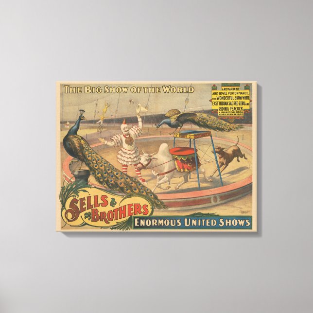 Impressão Em Tela Zebu E Pavão Com Treinador De Palhaços (Frente)