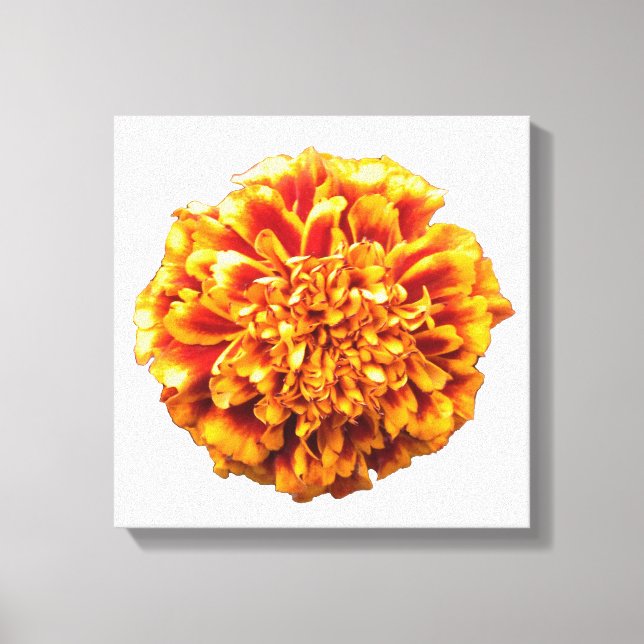Impressão Em Tela Zinnia (Frente)