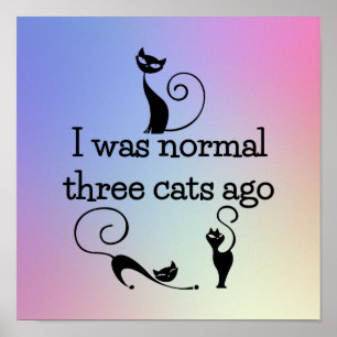 Impressão engraçado do poster dos gatos do Norma