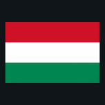 Impressão enquadrado com bandeira da Hungria<br><div class="desc">Elegant enquadrou a impressão com a bandeira da Hungria.</div>