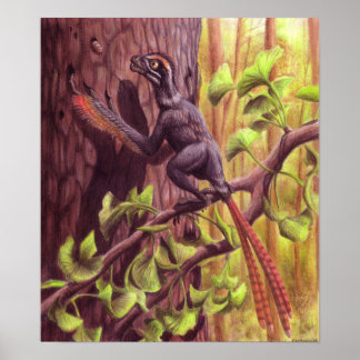 Impressão Epidexipteryx