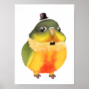 Impressão fantástico de Conure
