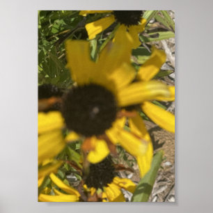 Impressão floral amarela cinza por um dia