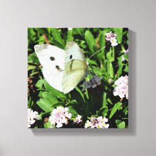 Impressão Floral de Borboleta em Tela