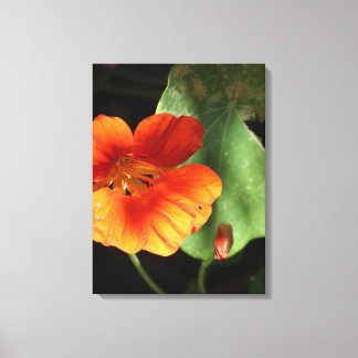 Impressão Floral de Nastúrtio em Tela