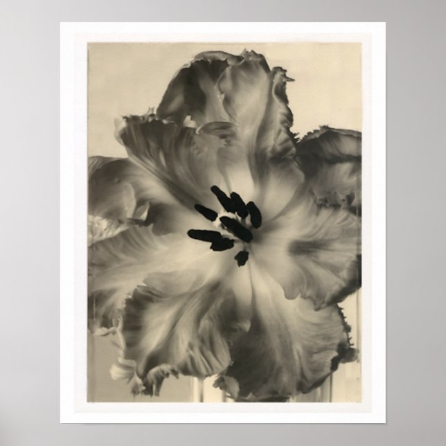 Impressão Floral preto-e-branco (Frente)