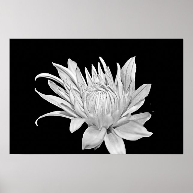 Impressão Floral preto-e-branco (Frente)