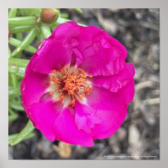 impressão Floral Roxo (Frente)