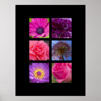 Impressão - Flores rosa e roxa