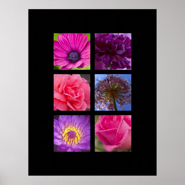 Impressão - Flores rosa e roxa (Frente)