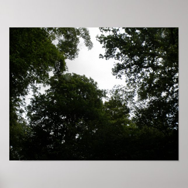 Impressão Floresta Assustadora (Frente)