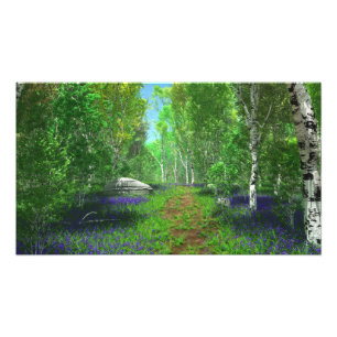 Impressão fotográfica Bluebell Light