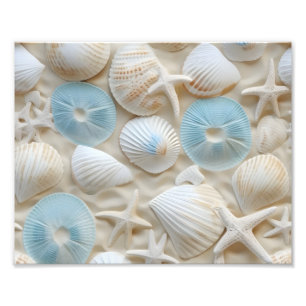 Impressão Fotográfica de Conchas do Mar
