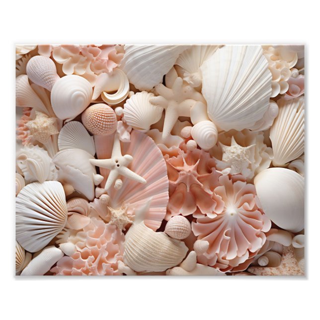 Impressão Fotográfica de Conchas do Mar (Frente)