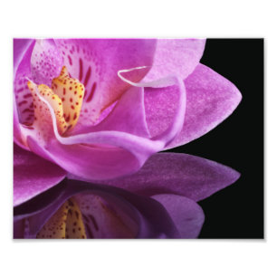 Impressão Fotográfica Orquídea
