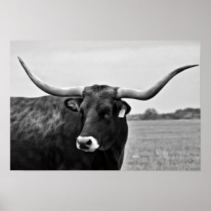 Impressão fotográfico da arte da vaca de Longhor