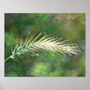 Impressão fotográfico da arte do Foxtail verde