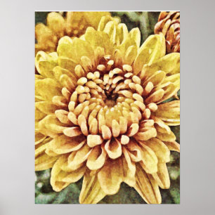 Impressão Fotográfico de Flor de Mãe Dourada Am
