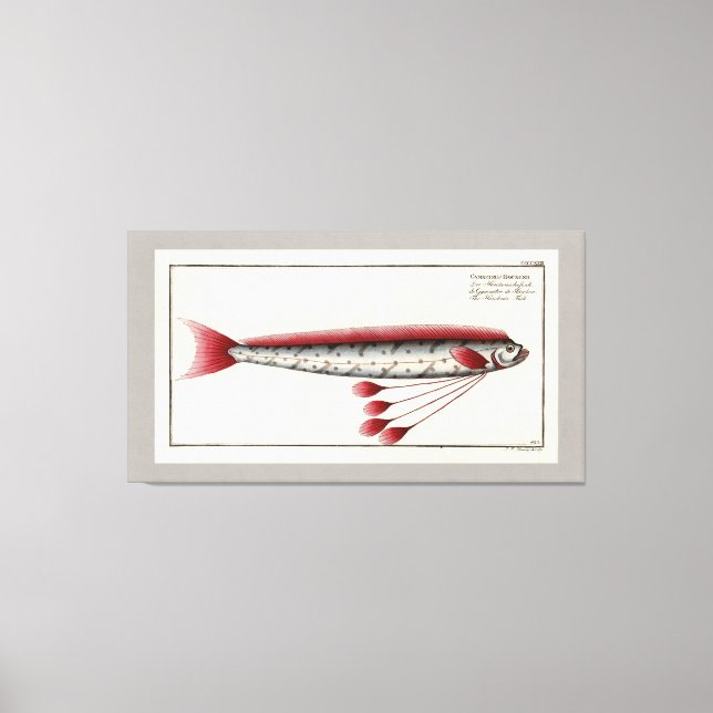 Impressão gigante de Oarfish (Frente)