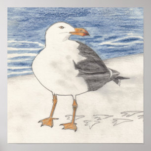 Impressão GULL SEA (15"x15")