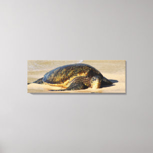 Impressão havaiano das canvas da tartaruga de mar