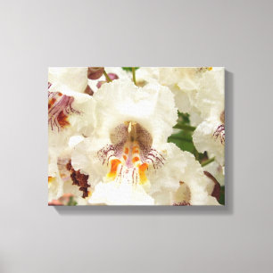 Impressão indiano das canvas das flores da árvor
